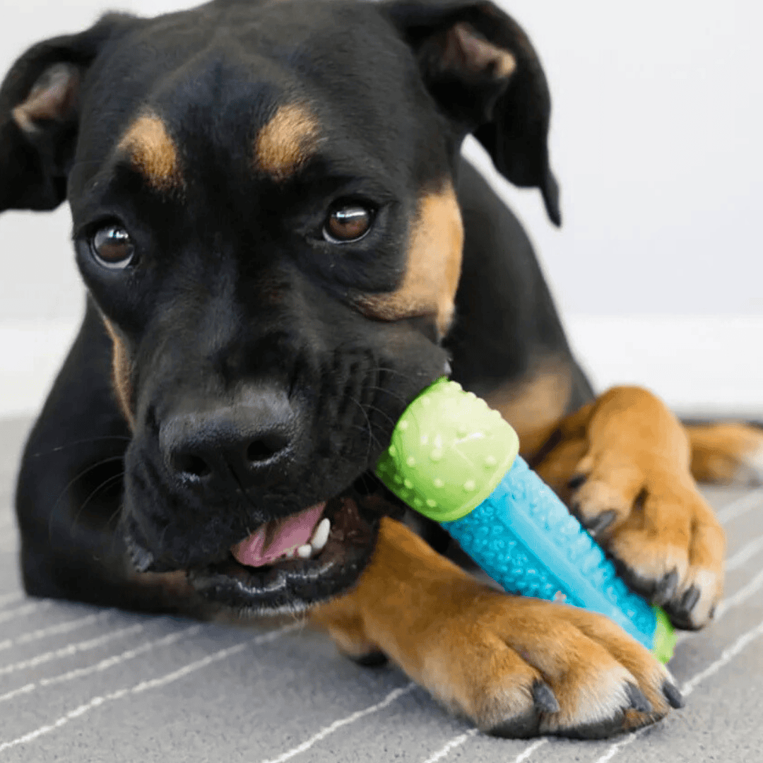 KONG Corestrength Bone - Billede 3